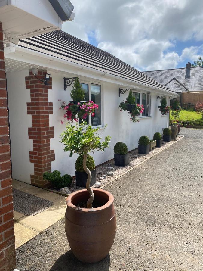 بود Toppesfield House B&B المظهر الخارجي الصورة