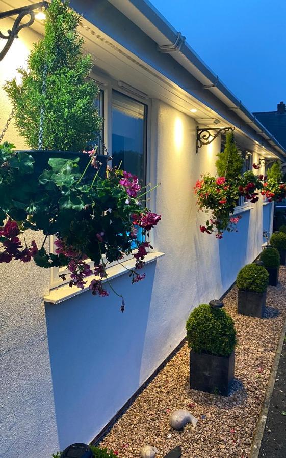 بود Toppesfield House B&B المظهر الخارجي الصورة