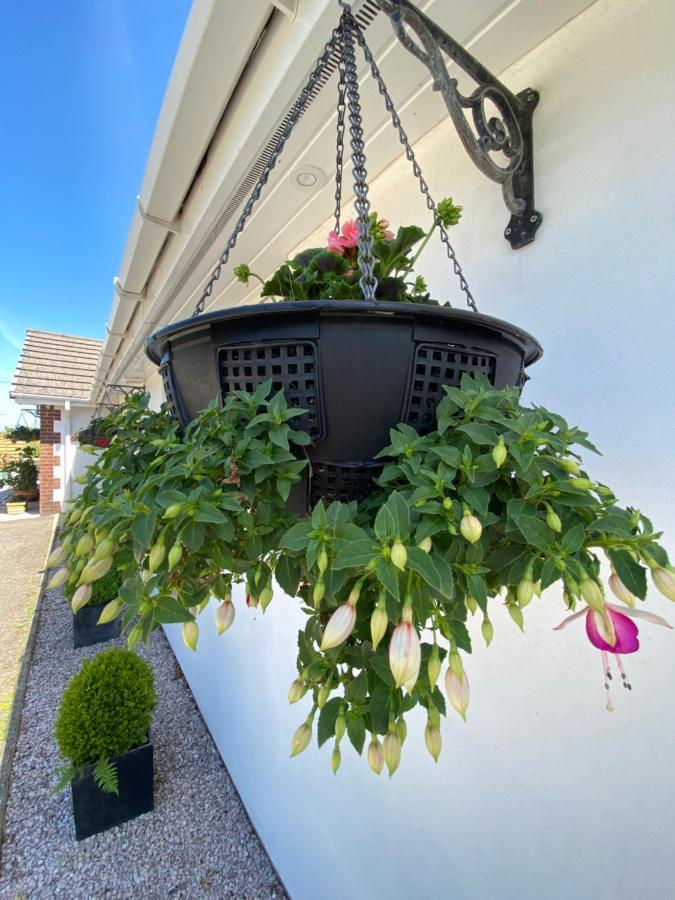 بود Toppesfield House B&B المظهر الخارجي الصورة