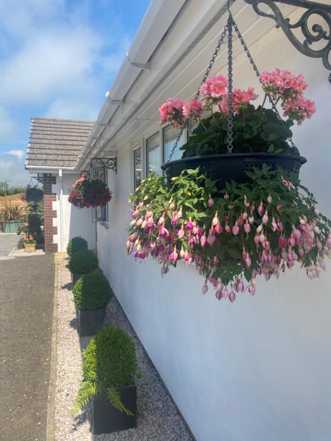 بود Toppesfield House B&B المظهر الخارجي الصورة